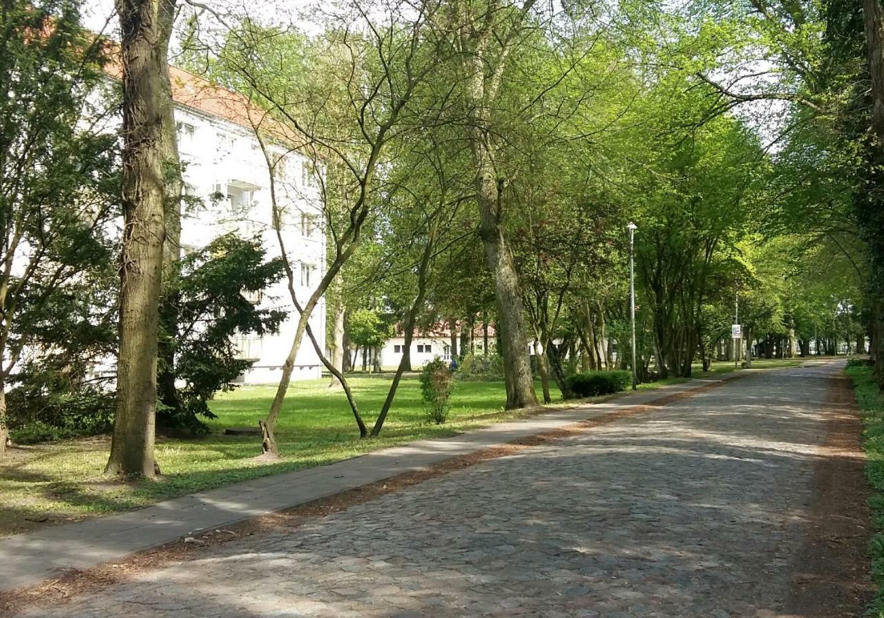 Neetzow Ferienwohnung "Am Schlosspark" מראה חיצוני תמונה